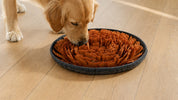 Tapis de fouille pour chien : le fabriquer soi-même