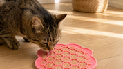 Tapis de léchage : recettes à étaler sans danger