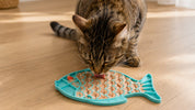 Mon chat mange trop vite et vomit