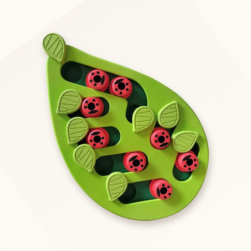 Puzzle anti-glouton — coccinelles — Chat
