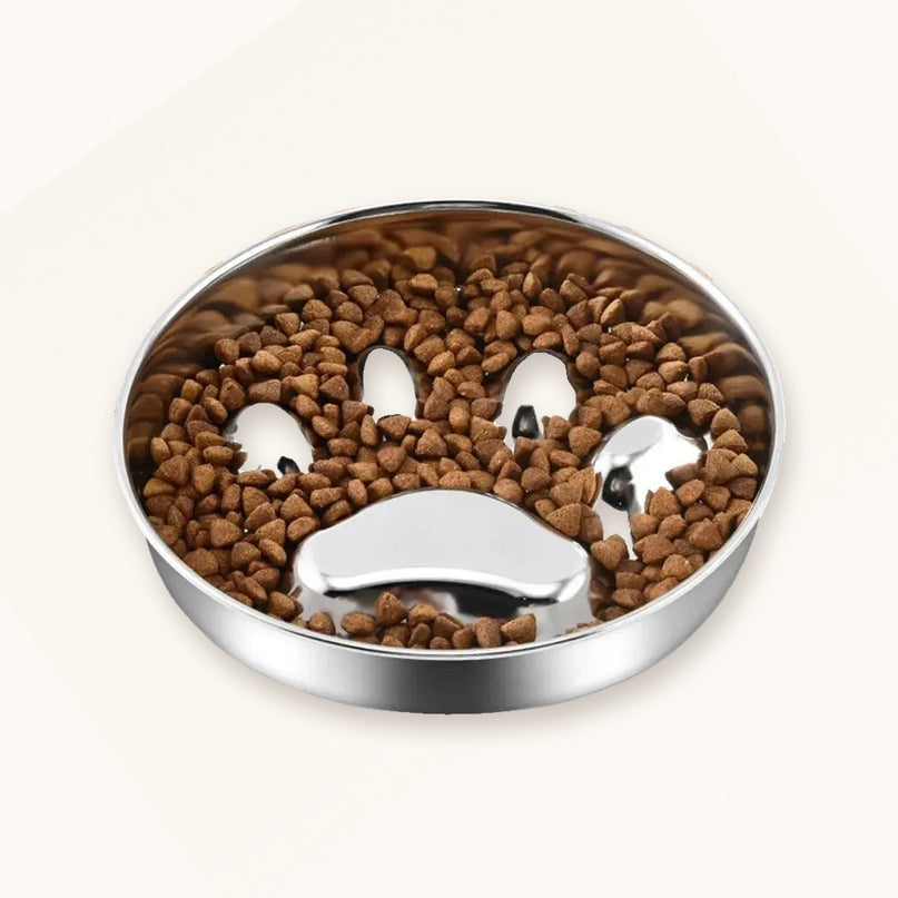 Gamelle inox — insert labyrinthe — Chien & chat