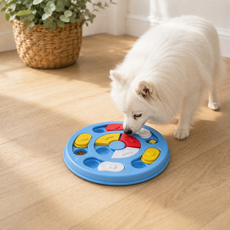 Puzzle distributeur — 31 modèles — Chien & chat