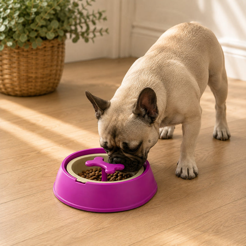 Gamelle anti-glouton — os rotatif — Chien