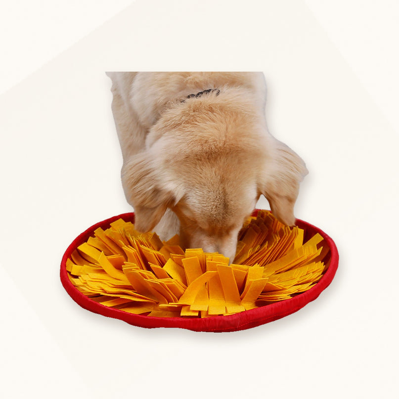 Tapis de fouille rond — tissu multicolore — Chien