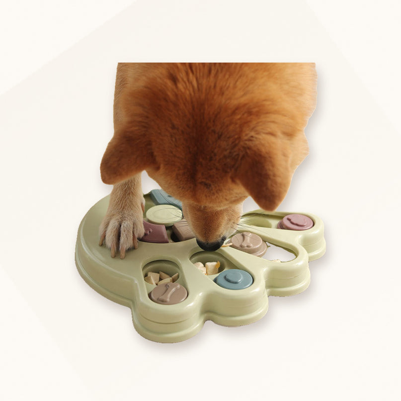 Puzzle distributeur — patte et formes — Chien