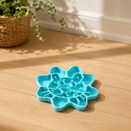 Gamelle anti-glouton turquoise posee sur un parquet chene clair dans un interieur lumineux