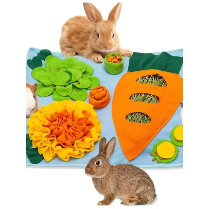 Tapis olfactif pour chien, tapis d'entraînement à l'odeur, tapis de reniflement, bol d'alimentation lente, distributeur de nourriture, jouets lavables pour chien