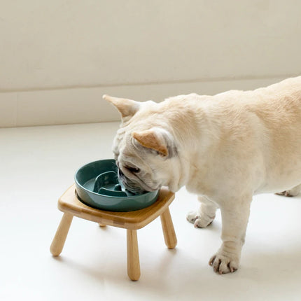 Assiette anti-étouffement pour chiens, bol en céramique, mangeoire lente pour animaux de compagnie, suréWer, moyen, grand, double, table à manger