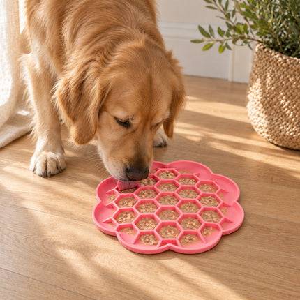 Golden retriever léchant un tapis rose à alvéoles en forme de fleur, posé sur un parquet clair