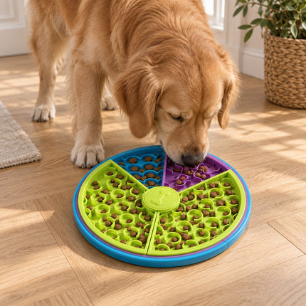 Golden retriever mangeant des croquettes dans un plateau distributeur rotatif vert, bleu et violet