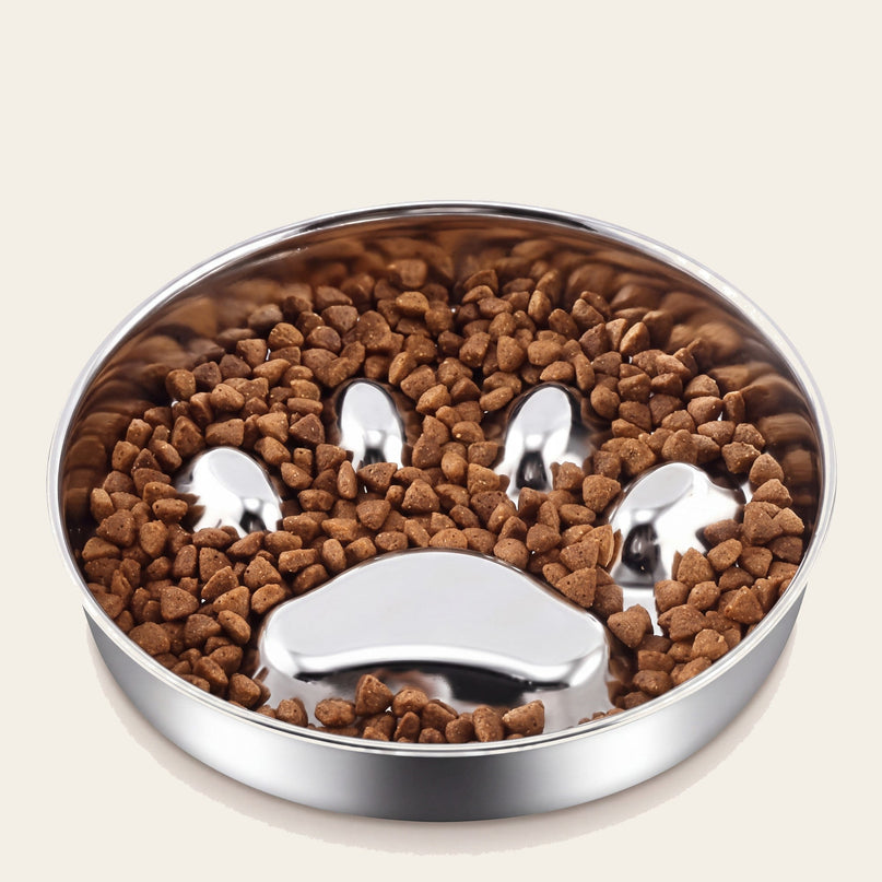 Gamelle ronde en inox garnie de croquettes autour d’un relief en forme d’empreinte de patte