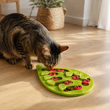 Puzzle anti-glouton — coccinelles — Chat