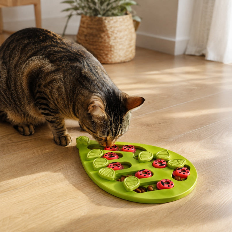 Puzzle anti-glouton — coccinelles — Chat
