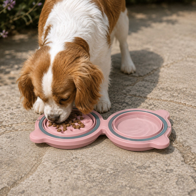 Gamelle pliable — double bol voyage — Chien
