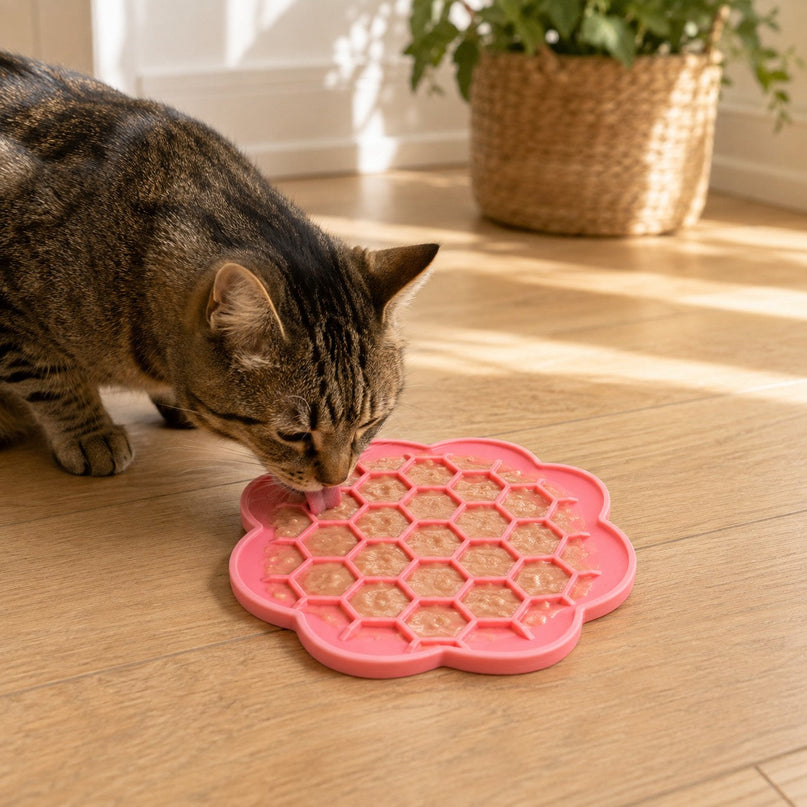 Tapis de léchage fleur alvéolée — Chien & chat