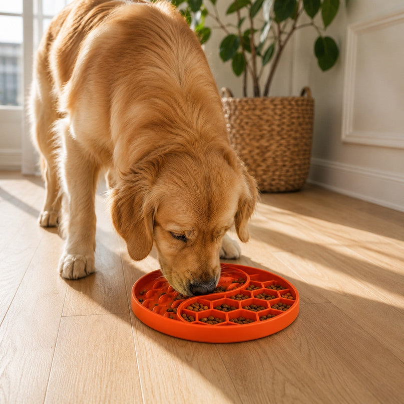 Gamelle silicone — double relief — Chien & chat