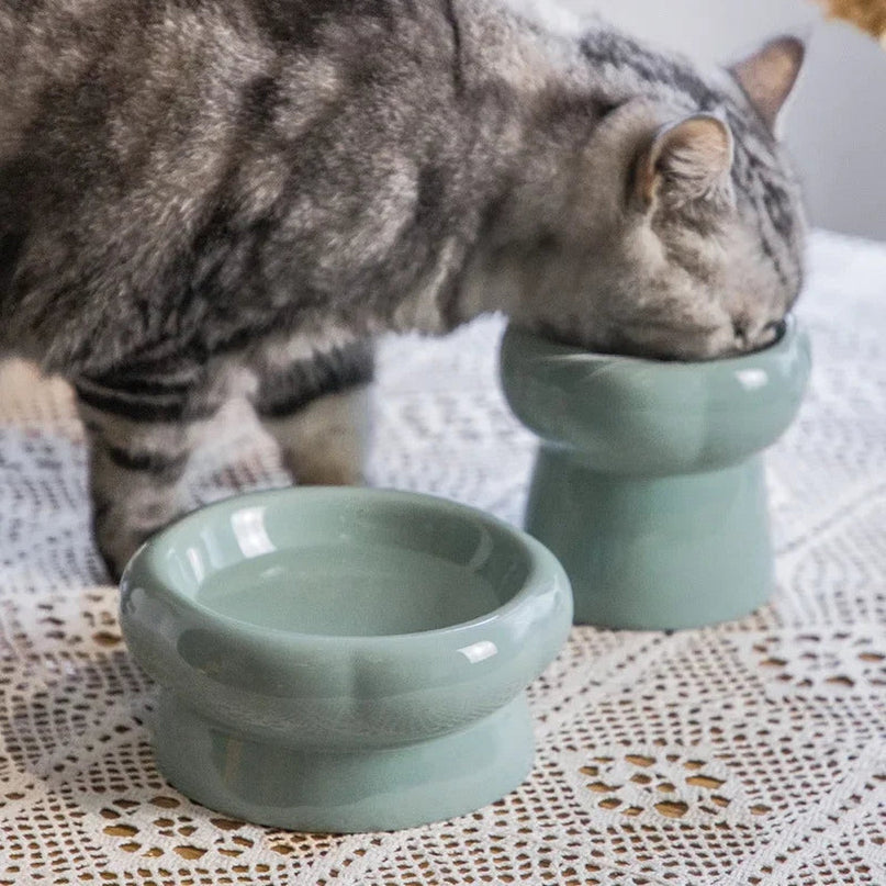 Un chat mangeant dans un bol en ceramique surelevee