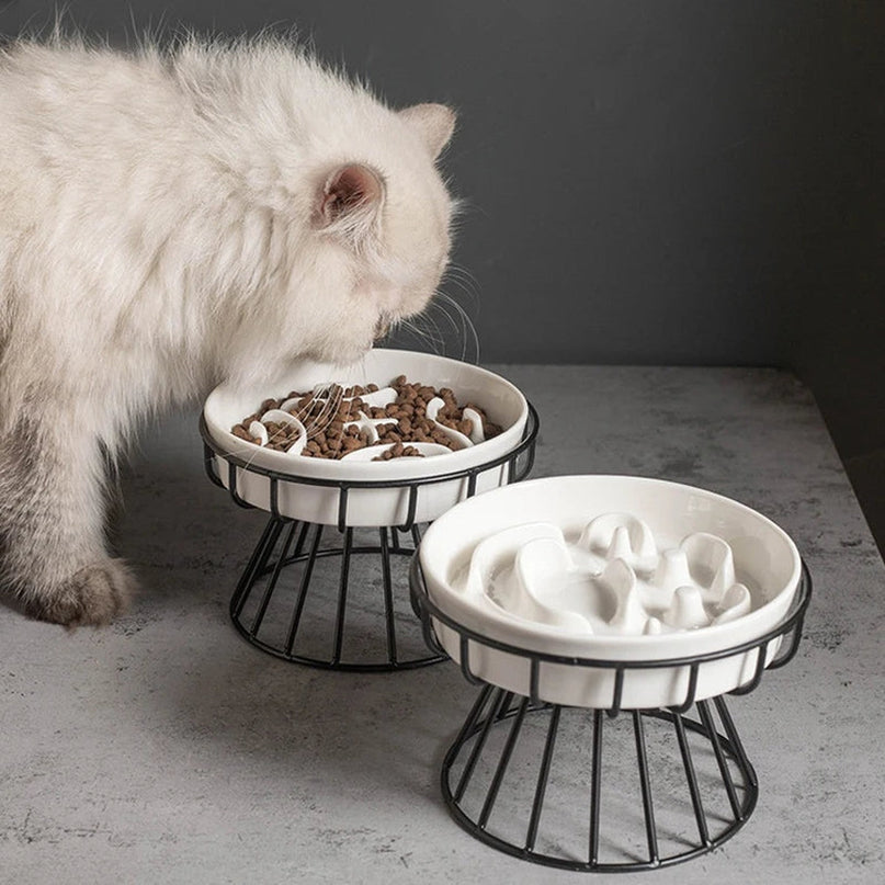 Un chat persan mangeant dans le bol en ceramique surelevee