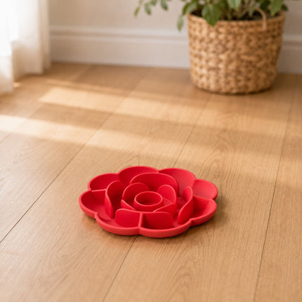 Bol ralentisseur rose rouge posé dans un salon